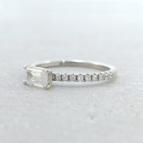 Cikoria, 18K Vitguld