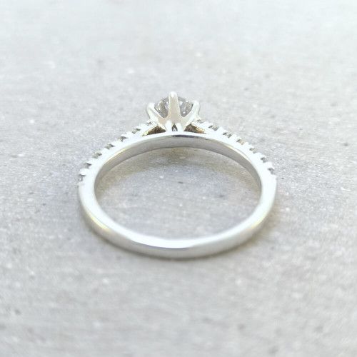 Nordhägg, 18K Vitguld